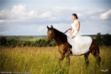 a4be24ac82d2.webp
