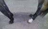 20160318_200605.jpg