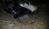 20160318_200758.jpg
