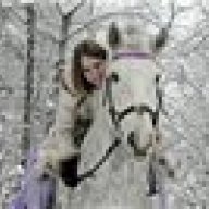 Геральдика