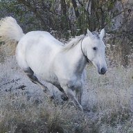 Jiko