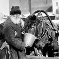 Викторович