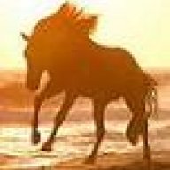 Dressageman
