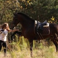 shop-galop