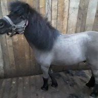 Артемонова Валерия