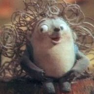 CurlyHedgehog