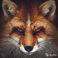 Talaris