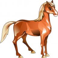 Shanaki