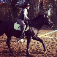 Sun^Rider