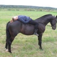 Жизньбезлошадинежизнь