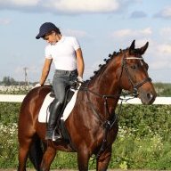 nt.horse
