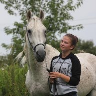 Дневник частника