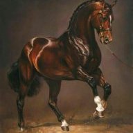 HORSE314
