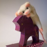 Нелетучая Мышь