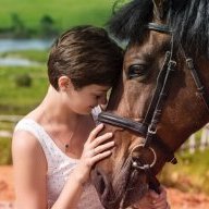 Equine Massage Therapist