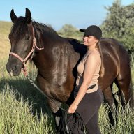 binexsis | конник Крыма