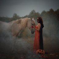 FoxHorse
