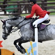 Volkova_trainer