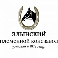 Zlynskiy
