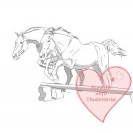 ChudoHorse