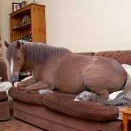 Очумелые_ручки