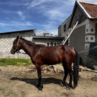 Елена Хагажеева
