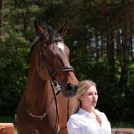 Horses_of_Angels