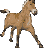 dressage_rider