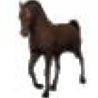 laurk@