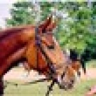 Ombra