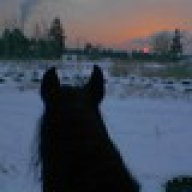 Махмуд Аль-Хисан