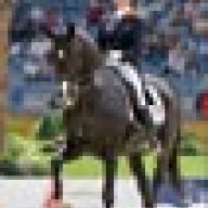 Анки Ван Грюнсвен