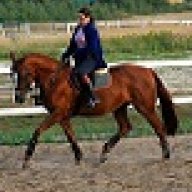 Belka86