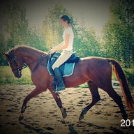 Строптивая лошадка