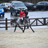 I*Love horses*Helen