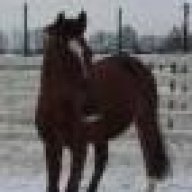 Раст- мой конь