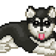 Николаева Ю.С.