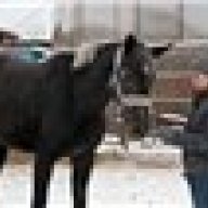 Vredin@ (boomtequilaboom2)