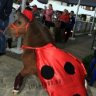 OtradaClub
