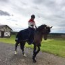 Sophie&showjumping