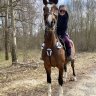 shacklefordchampion