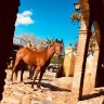 Chispa