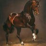 HORSE314