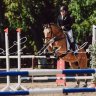 PonyPony