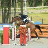 Equestrian team