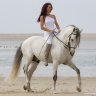 Selima