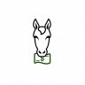 equestrian_girl