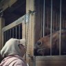 horseman's mom