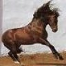 Pegas (keeper-horse)