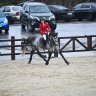 I*Love horses*Helen